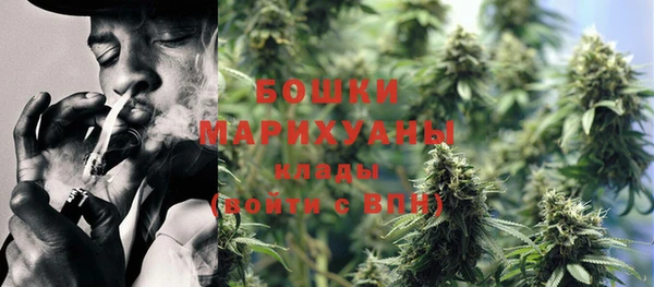 не бодяженный Горно-Алтайск