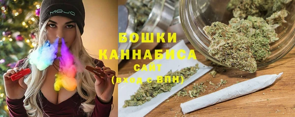 apvp Горнозаводск
