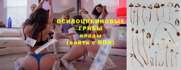 не бодяженный Горно-Алтайск