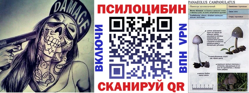 Галлюциногенные грибы мицелий  цена наркотик  Евпатория 